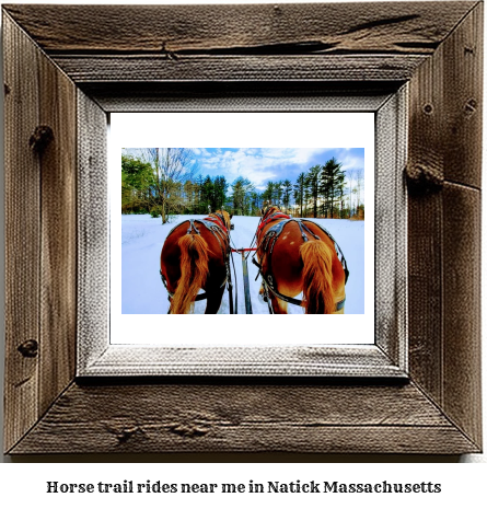 horse trail rides near me in Natick, Massachusetts